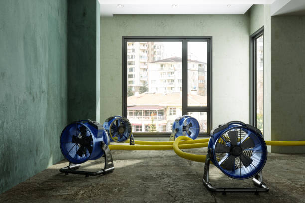 Best Flood restoration services  in Weatherford, TX